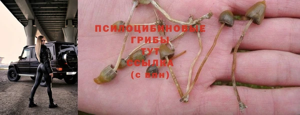 крисы Рославль